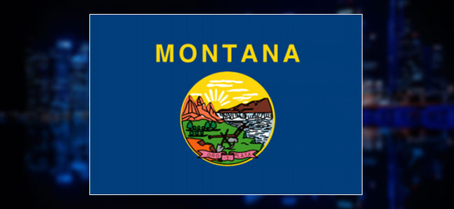 Montana Movers